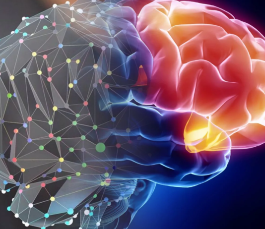 Decoding Brain Tumors: Why Some Resist Immunotherapy, According to Research Brain Tumor Immunotherapy