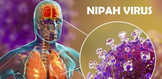 Kerala Government Takes Firm Actions Against Nipah Virus Outbreak; Specialists Share Safety Recommendations. Nipah Virus Outbreak in Kerala