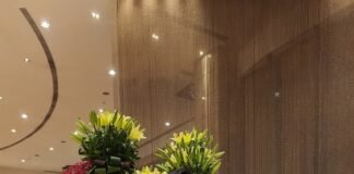 VAISHALI SHAH has been at the forefront of India’s saree blouse fashion movement with her eponymous label ” JUST BLOUSES “