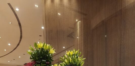 VAISHALI SHAH has been at the forefront of India’s saree blouse fashion movement with her eponymous label ” JUST BLOUSES “