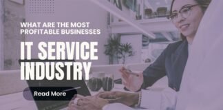 What are the most profitable businesses in the IT Service Industry