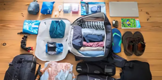 Best Travel Bags to Carry for a Hassle-Free Trip: What You Need to Know