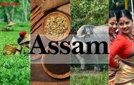 Must-Try Traditional Foods of Assam