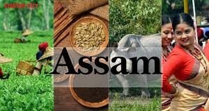 Must-Try Traditional Foods of Assam