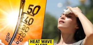 Delhi on Red Alert for Heatwave; Rain Likely in 3 Days – IMD Forecast for Punjab, Haryana & Rajasthan