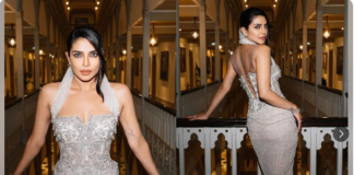 Priyanka Chopra Steals the Spotlight at “Heads of State” Screening