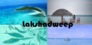 Why Lakshadweep Should Be Your Next Beach Vacation Spot