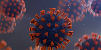 COVID-19 Update June 5: 564 New Cases, 7 Deaths, Active Tally Over 4,800